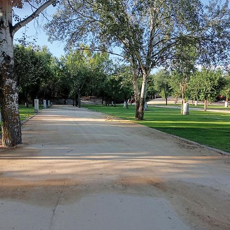 Complejo La Cigueena Arganda Del Rey Ngoại thất bức ảnh