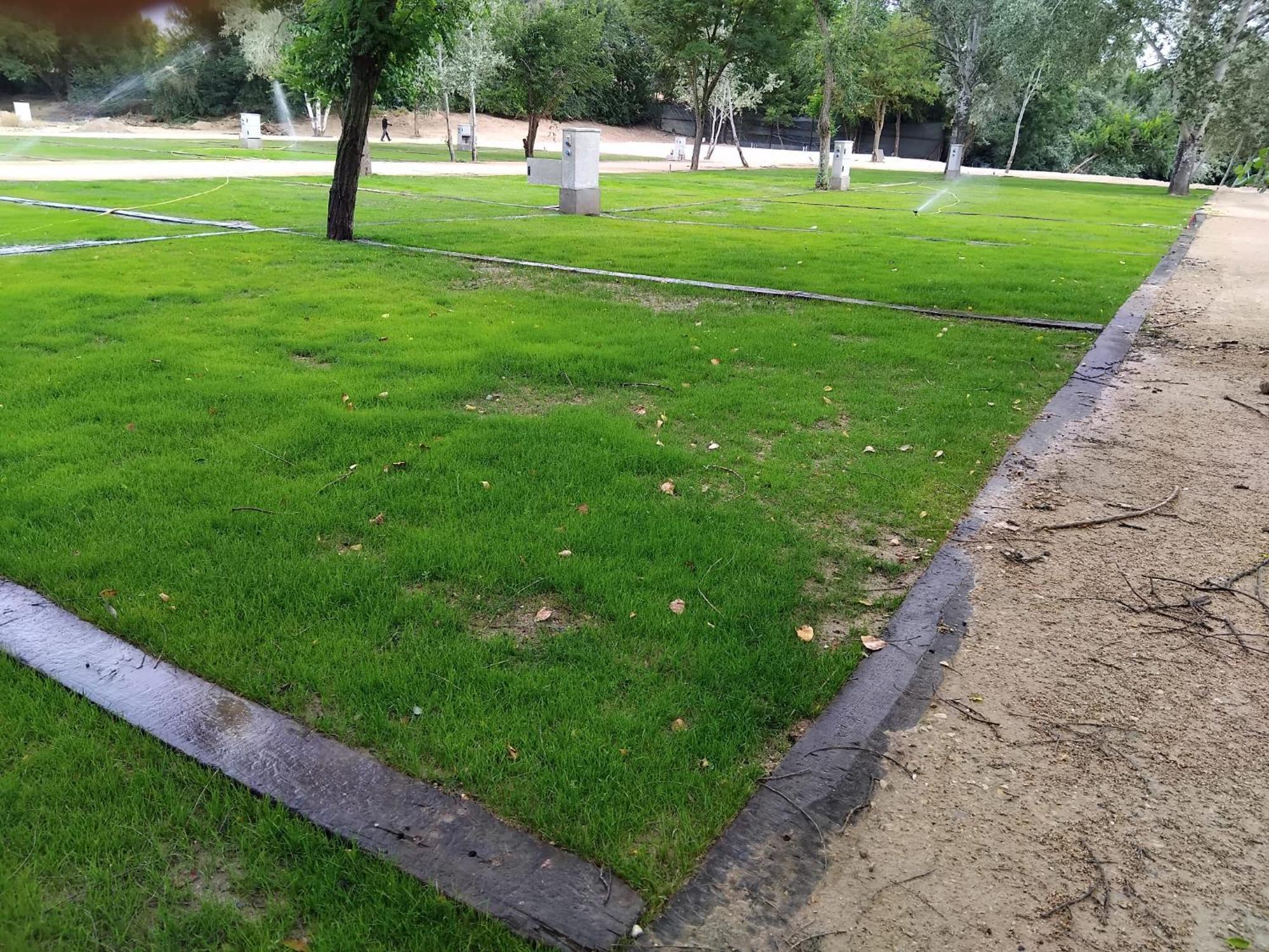 Complejo La Cigueena Arganda Del Rey Ngoại thất bức ảnh